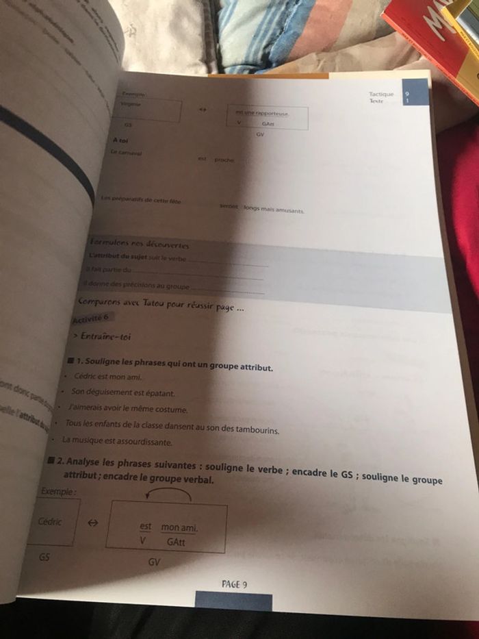 Tatou 3 français - photo numéro 7