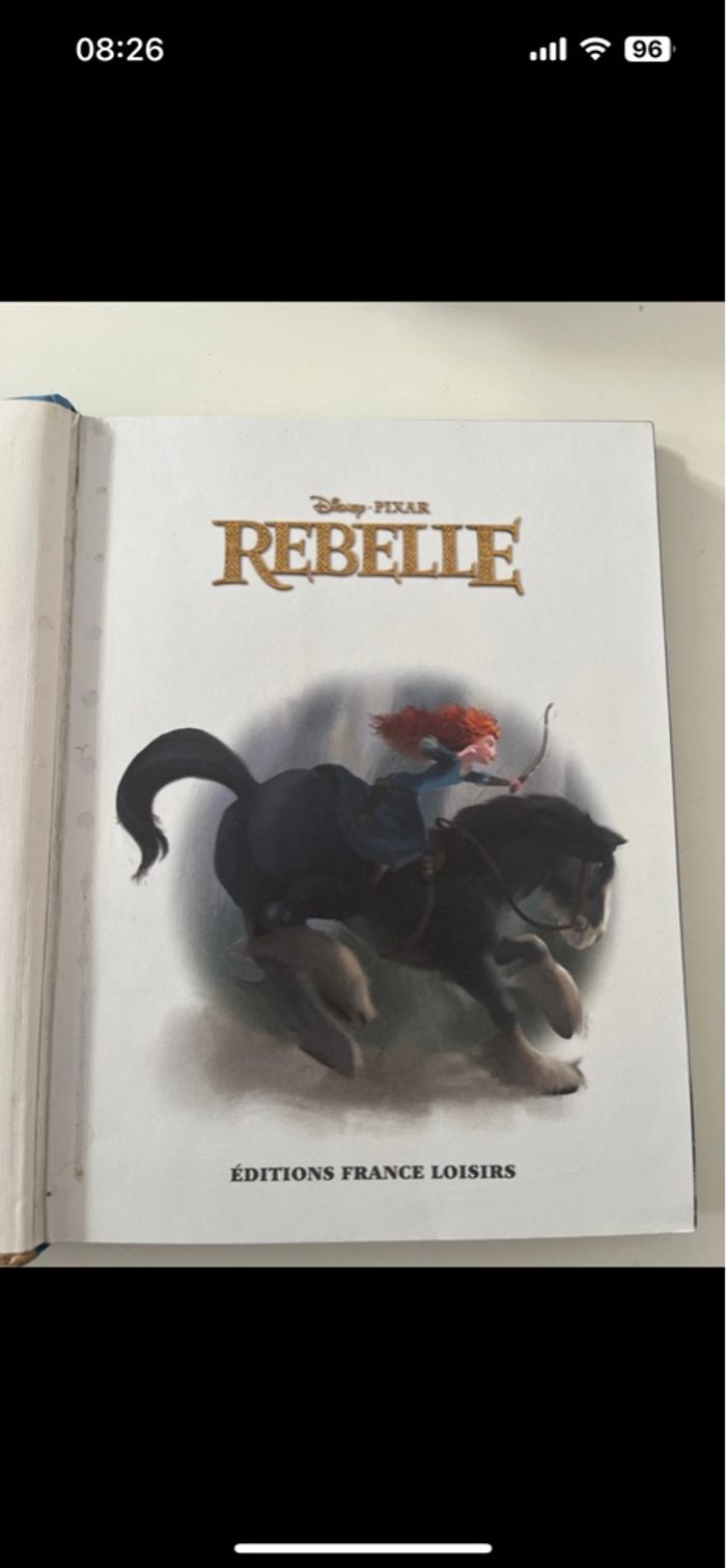 Rebelle - photo numéro 3