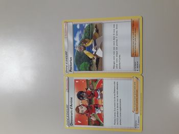 Dresseurs d'Arène + Pectorius lot de 2 cartes Pokémon neuves