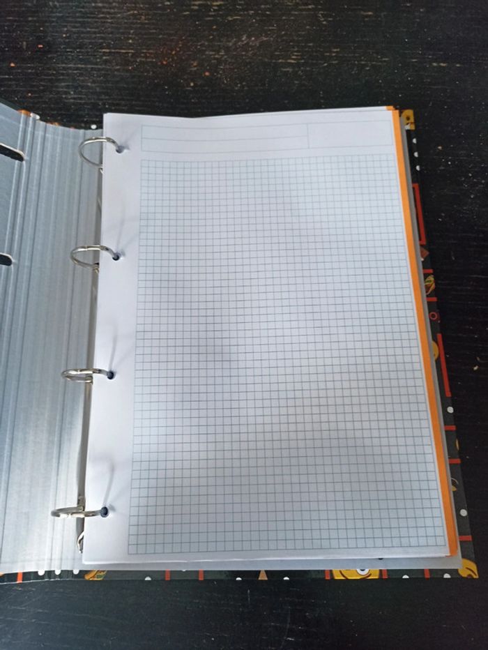 Classeur smiley - photo numéro 2