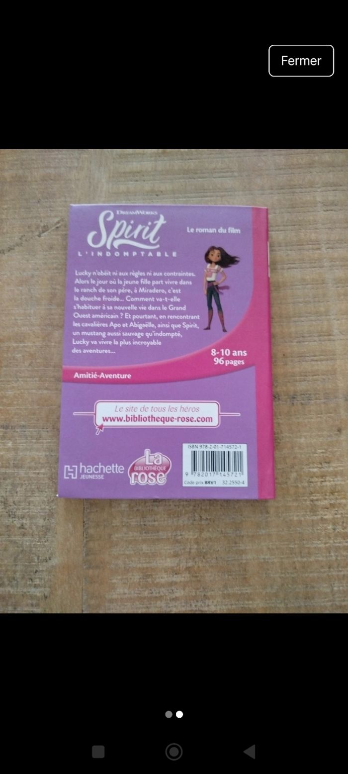 Spirit, l'indomptable - photo numéro 2