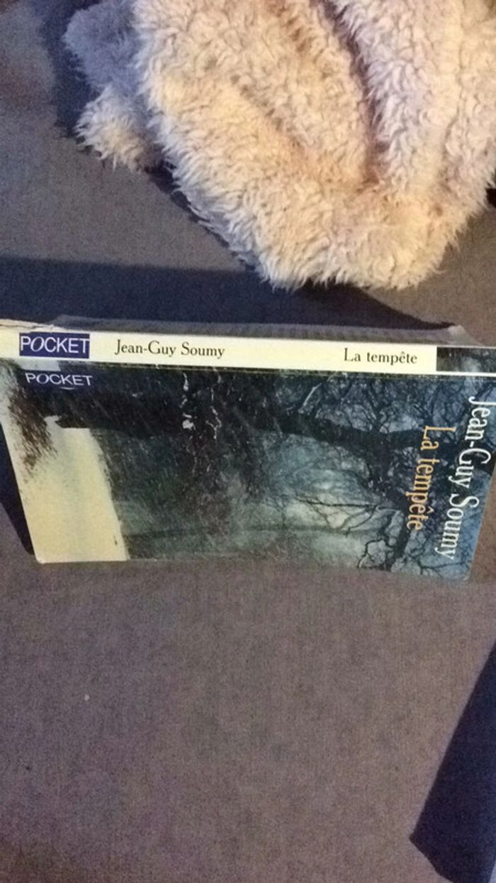 #la tempête Jean Guy Soumy - photo numéro 4