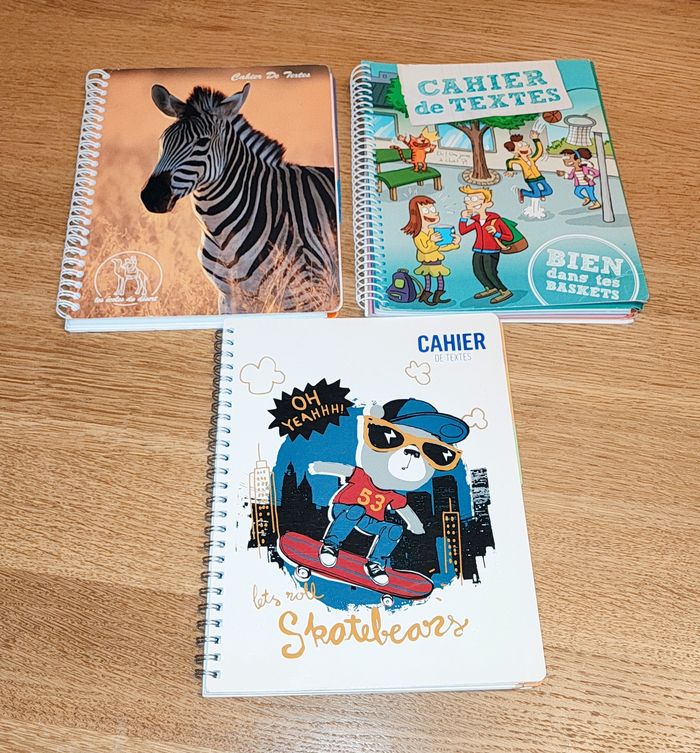 🌿 Lot de 3 cahiers de texte - Neufs 🌿
