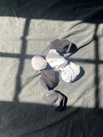Lot de chaussettes basses