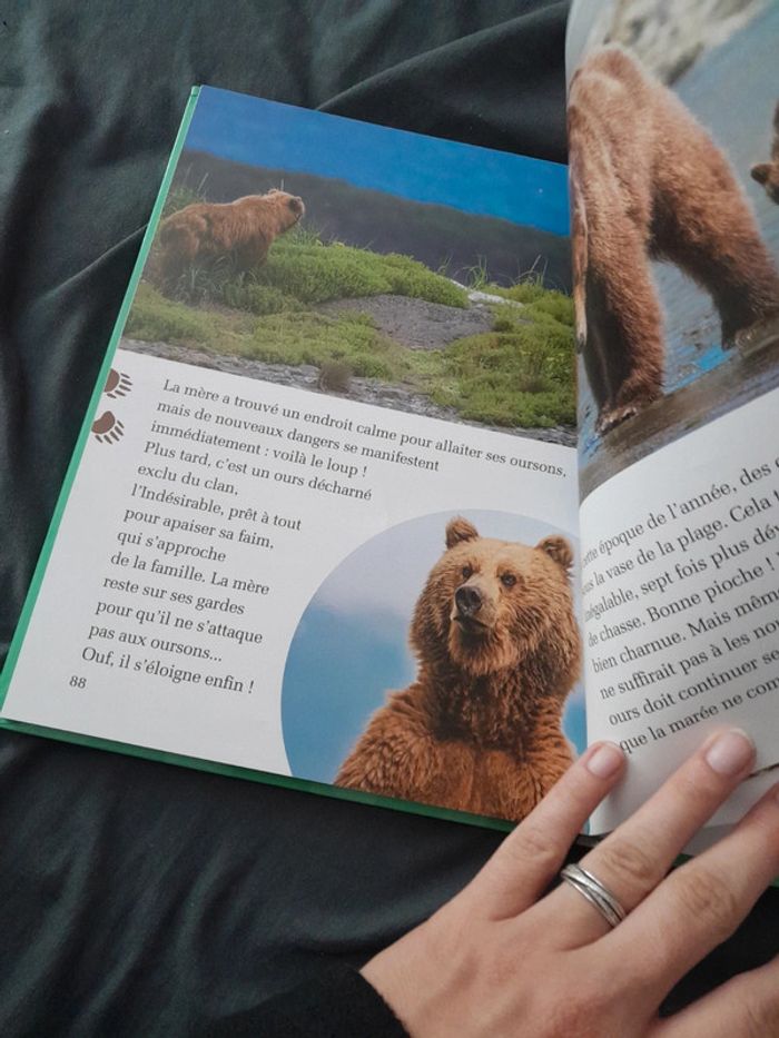 Livre disney Mon album 2015 - photo numéro 3