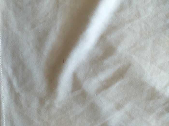 T-shirt - photo numéro 7