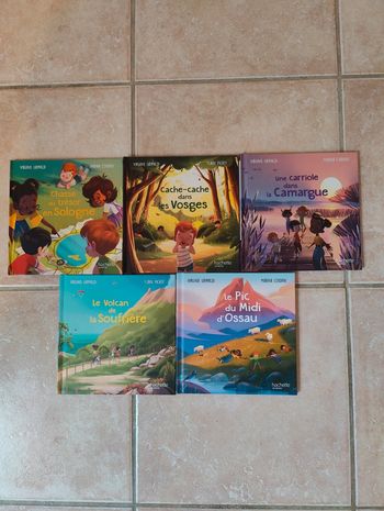 Lot 5 livres mac do merveilles de France