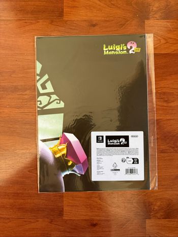 Poster A2 Luigi's Mansion 2 HD Goodie Nintendo Switch. Luigi