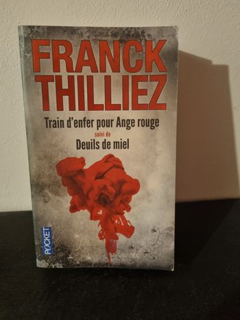 Franck thilliez  train d'enfer 