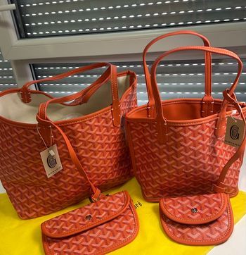 Lot deux sac Goyard Saint Louis