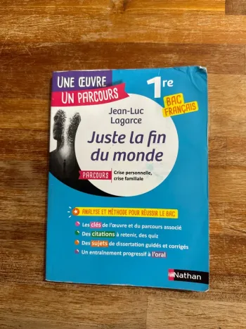 Livre une œuvre, un parcours juste la fin du monde