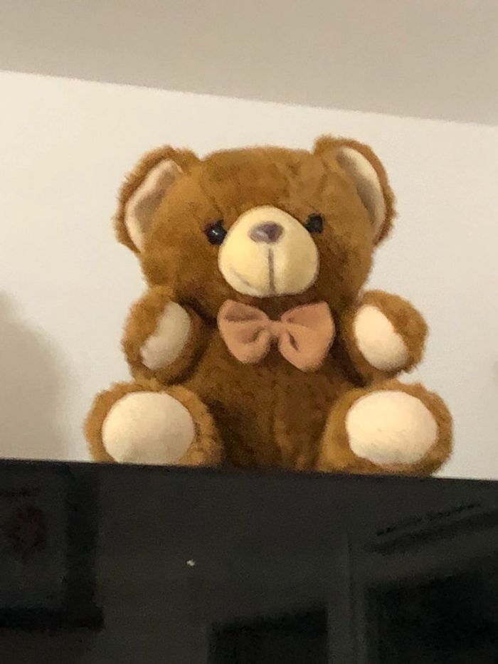 Famille nombreuse de nounours - photo numéro 2