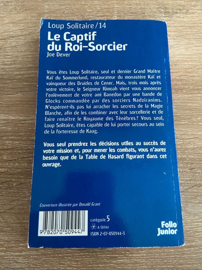 Le captif du roi sorcier un livre dont vous êtes le héros - photo numéro 2