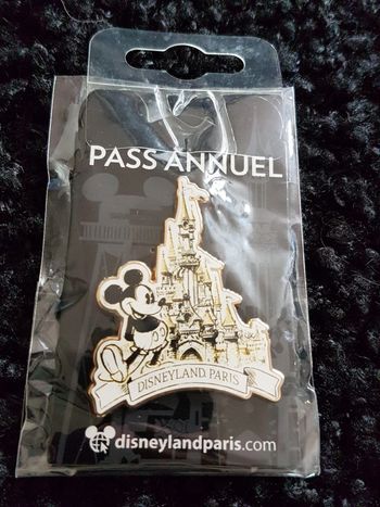 Pin's pass annuel Disneyland paris