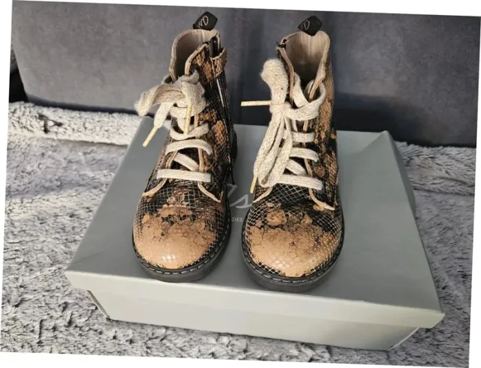 Bottilons Aster - photo numéro 3