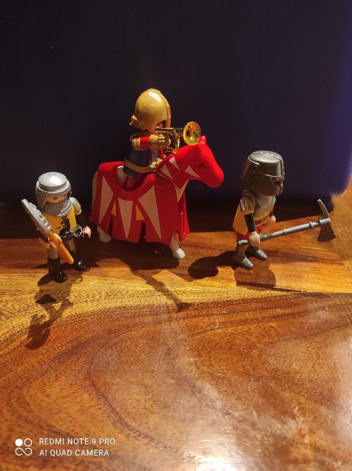 Chevalier playmobils - photo numéro 2