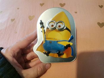 Boîte les minions