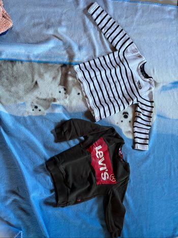 2 pulls terre de marin et Levi’s