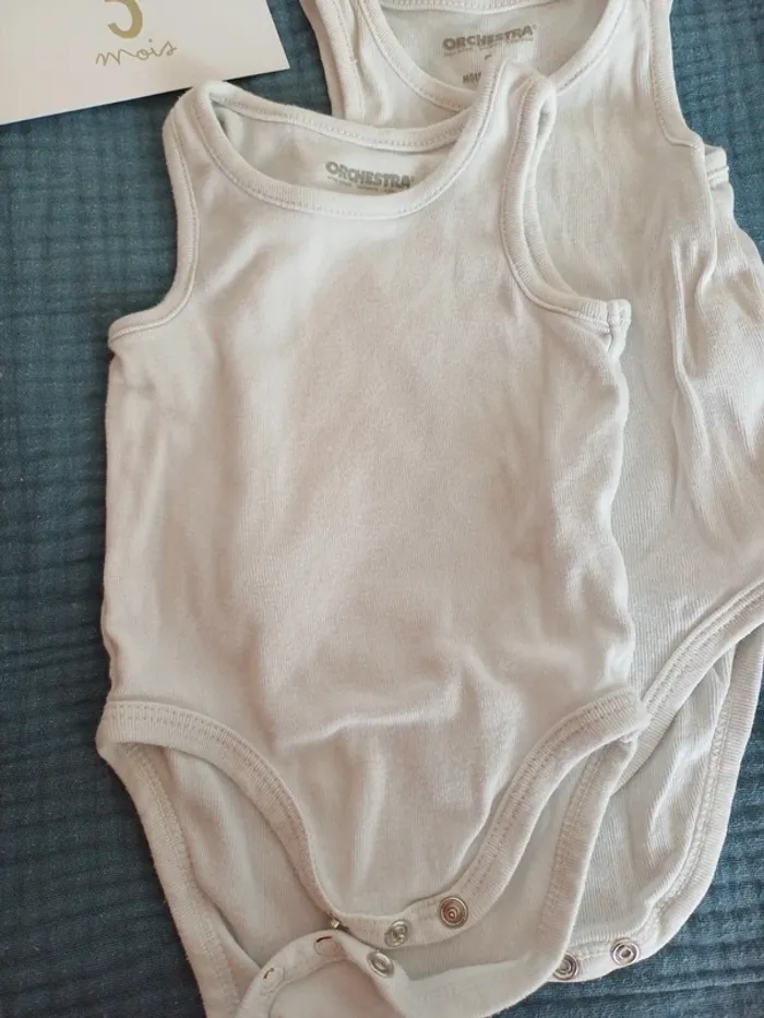 Lot 3 bodies - photo numéro 4