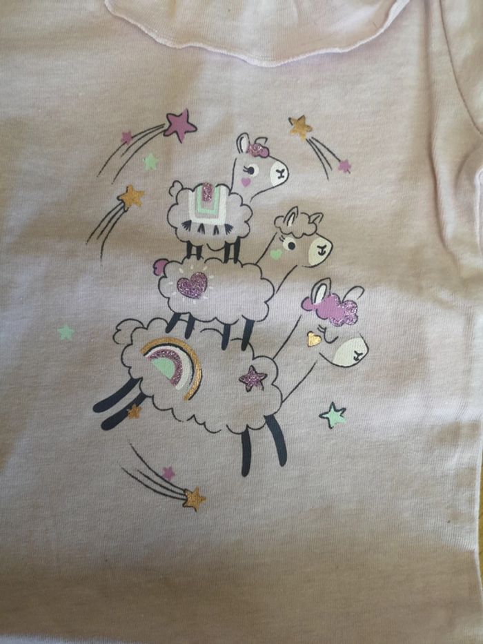 Bodie 6 mois - photo numéro 3