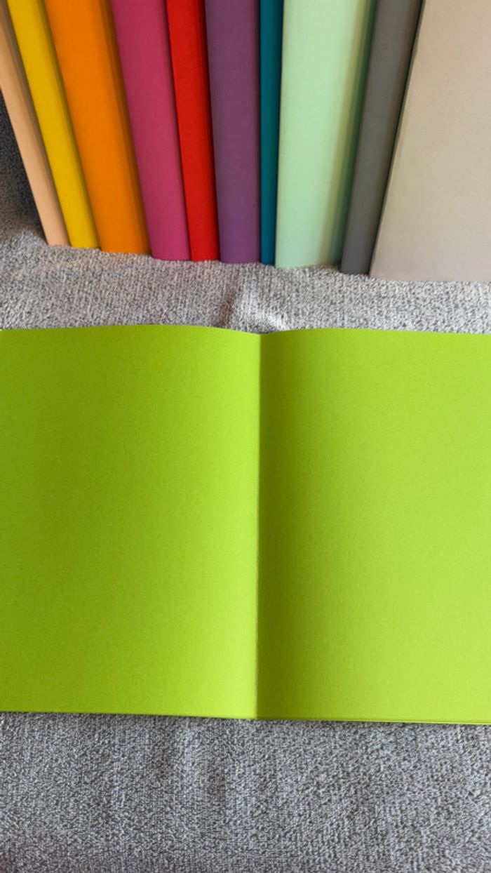 Ensemble de 6 chemises rigides vert - photo numéro 4