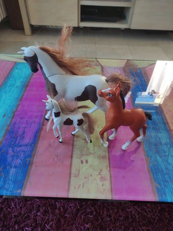 3 chevaux