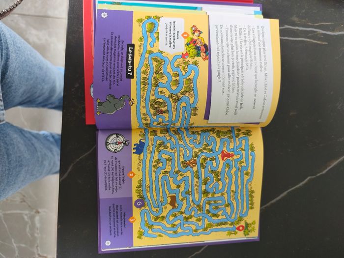 Livre énigme et jeux - photo numéro 6