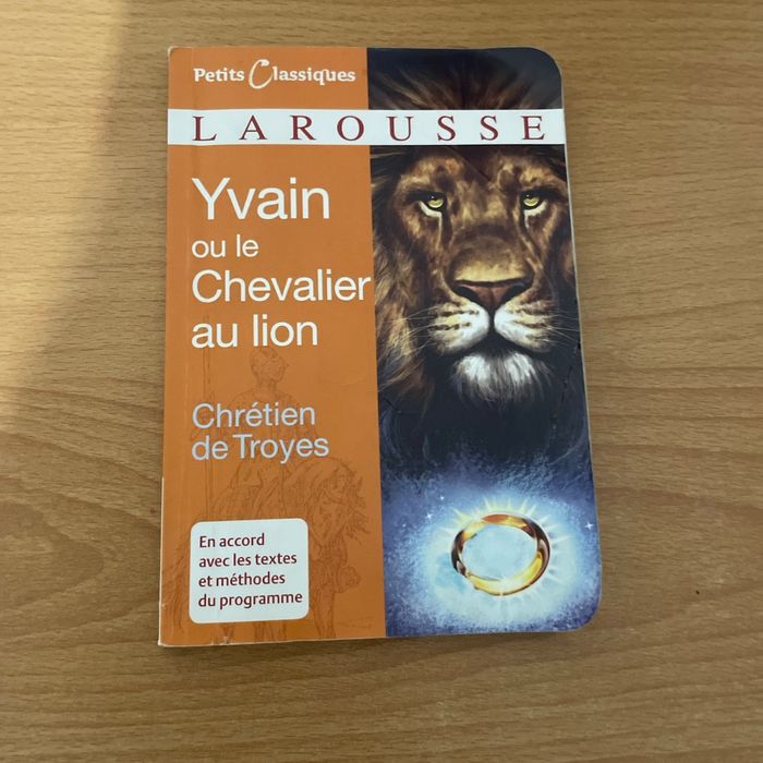 Yvain ou le chevalier au lion