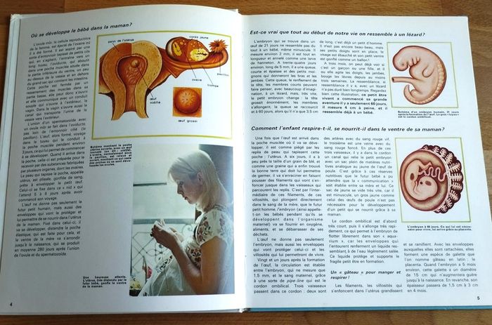 4 livres enfant nature et ses secrets Nathan - photo numéro 6