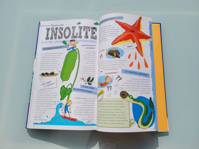 Grand livre Le Larousse des Records, couverture mousse - photo numéro 13