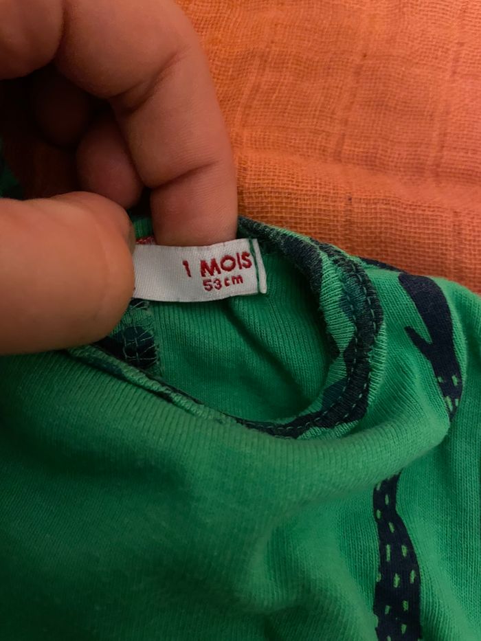 Combinaison singe verte - photo numéro 2