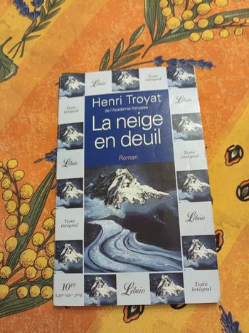 Livre la neige en deuil