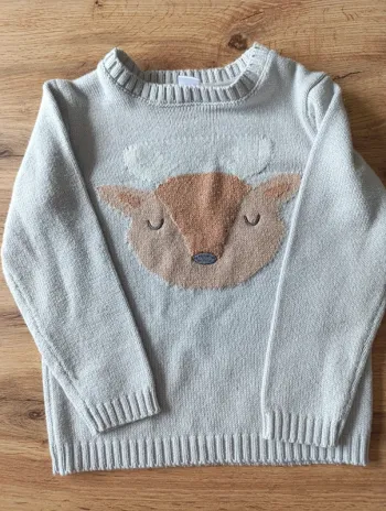 Pull garçon taille 4 ans