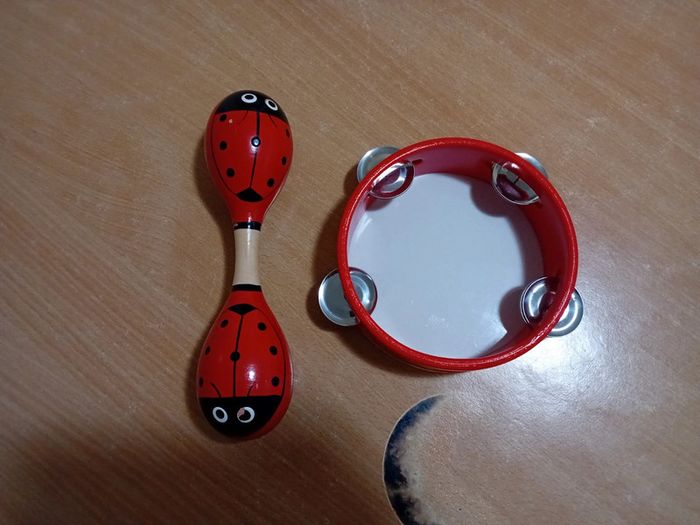 Maracas et tambourin - photo numéro 2