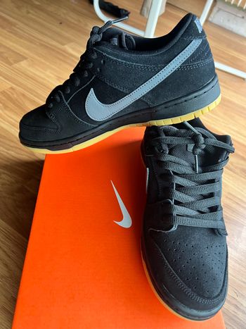 Nike SB DUNK pro