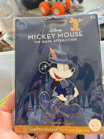 Pin's disney main attraction 6/12