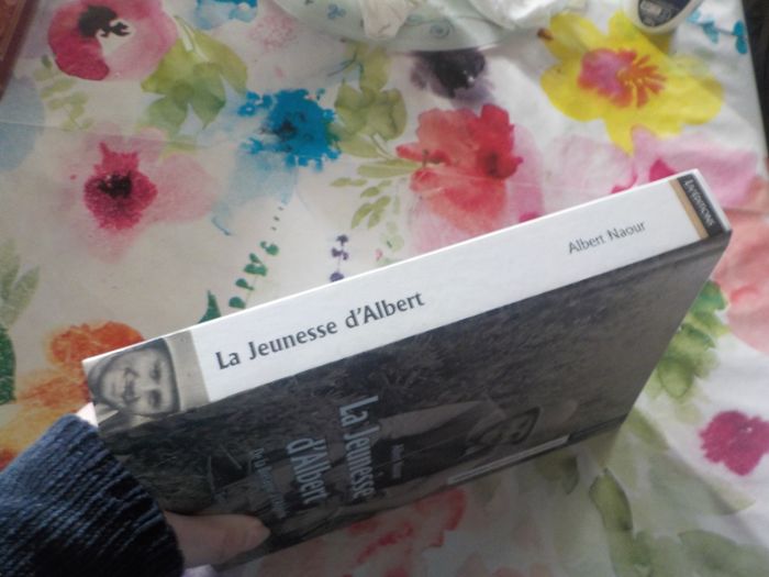 LA JEUNESSE D'ALBERT De la Bretagne à l'Algérie par A. NAOUR Ed.Liv Mémoire du Finistère - photo numéro 4