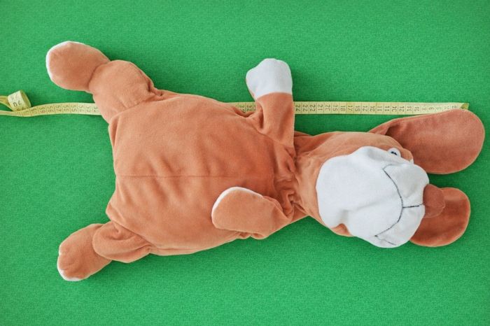 Peluche chien Super toys - photo numéro 2