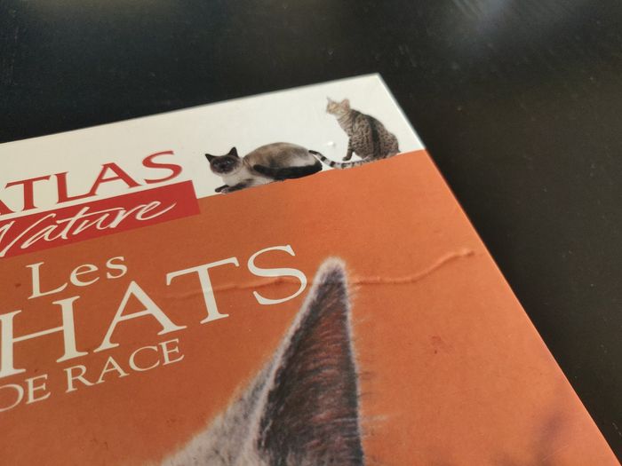 Livre 238 pages - Les chats de Race - photo numéro 2