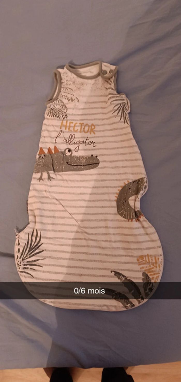 Gigoteuses - photo numéro 8