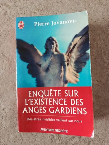 Enquête sur l existence des anges gardiens