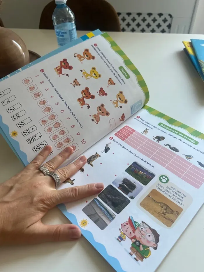 Cahier de vacances 5/6 ans neuf - photo numéro 2