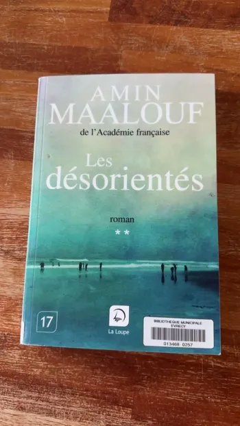 Livre les désorientés