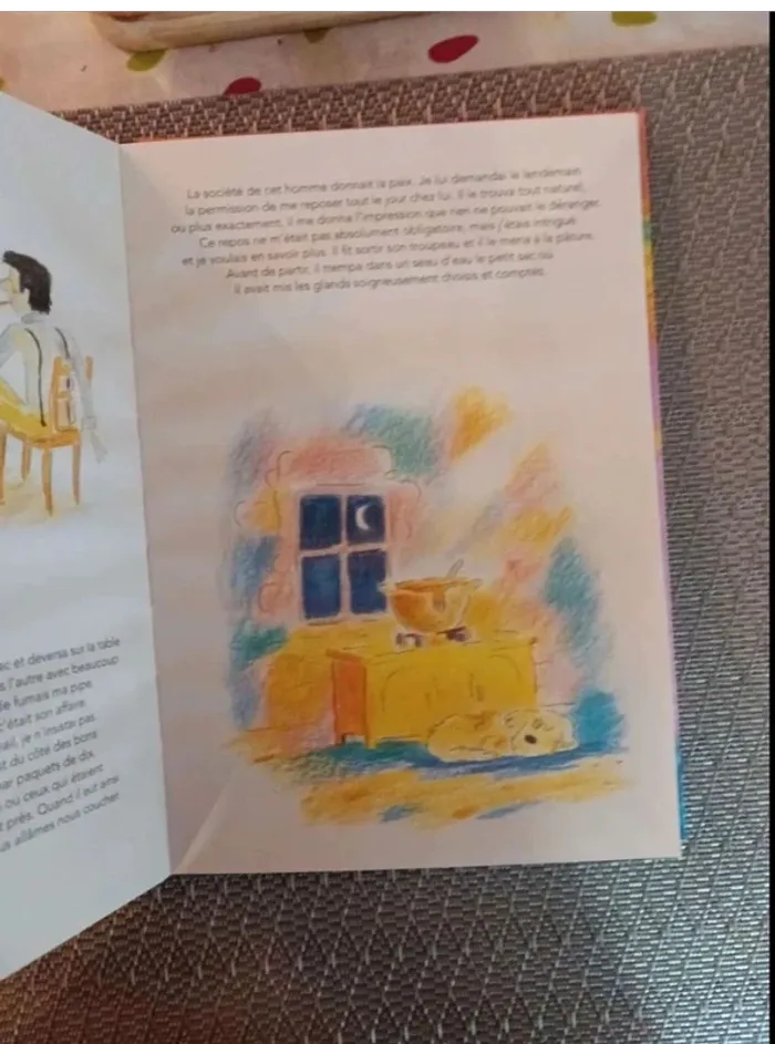 Livre pour enfants l'homme qui plantait des arbres Jean Giono - photo numéro 3