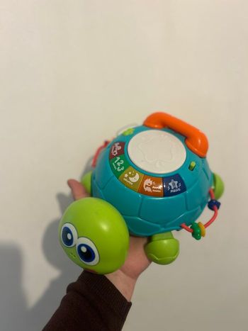 Tortue Musicaux Jeux Garçon Fille