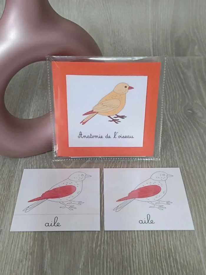 Cartes de nomenclature de l'oiseau - photo numéro 3