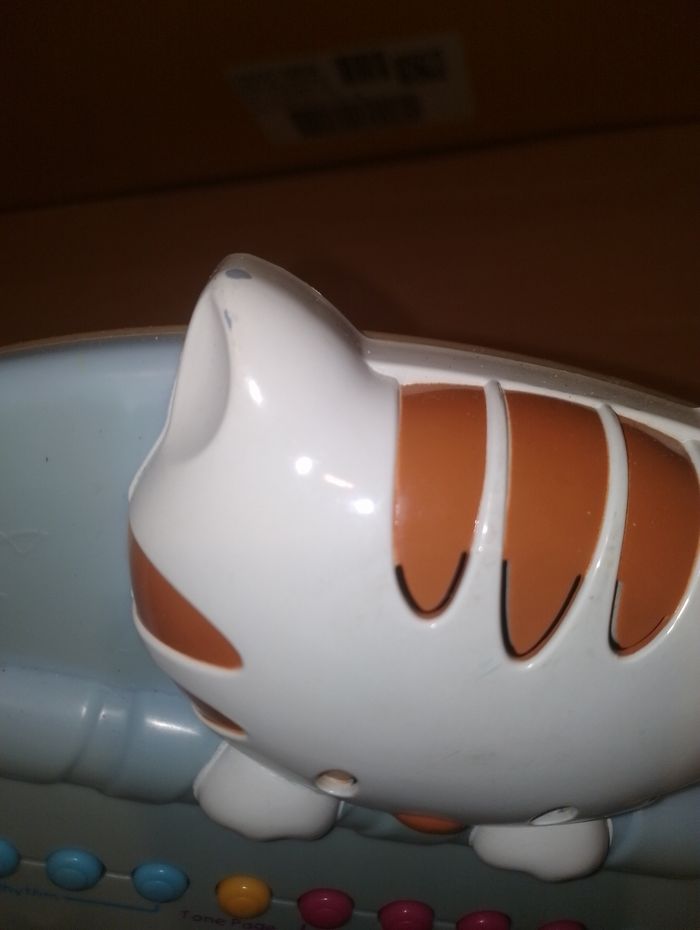 Piano musical chat
Animal - photo numéro 10