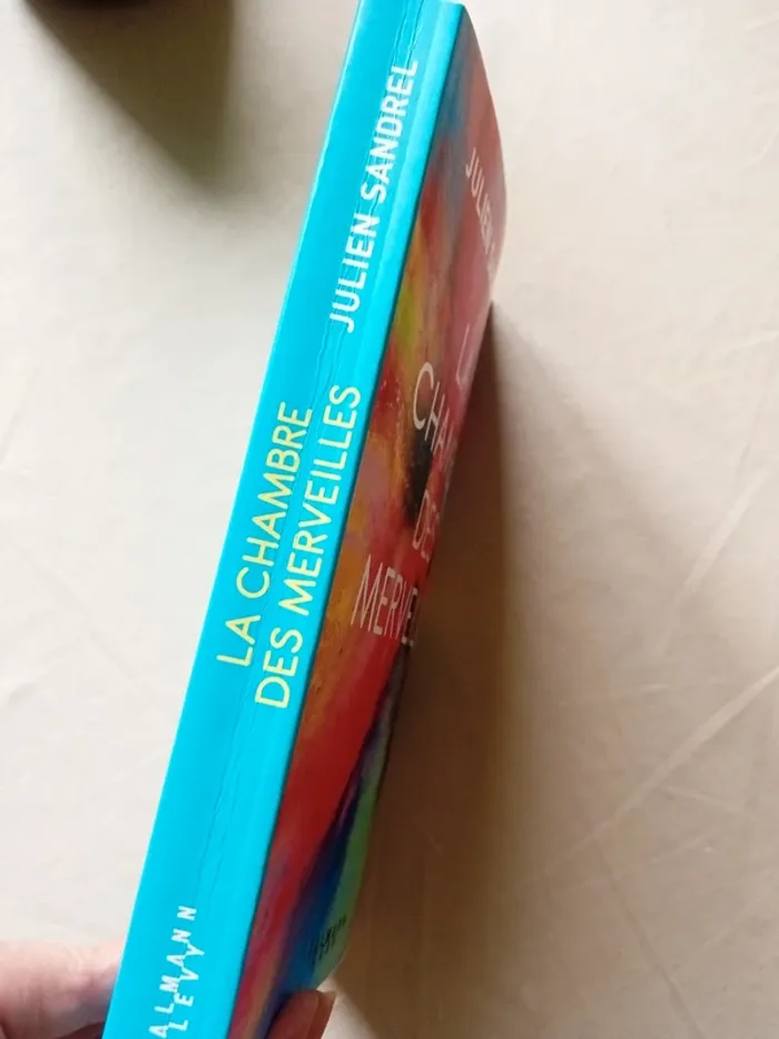 La chambre des merveilles - photo numéro 4