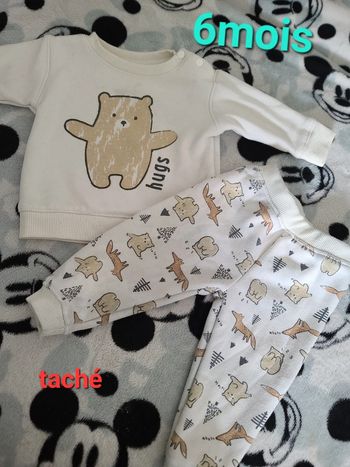 Ensemble ours 🐻