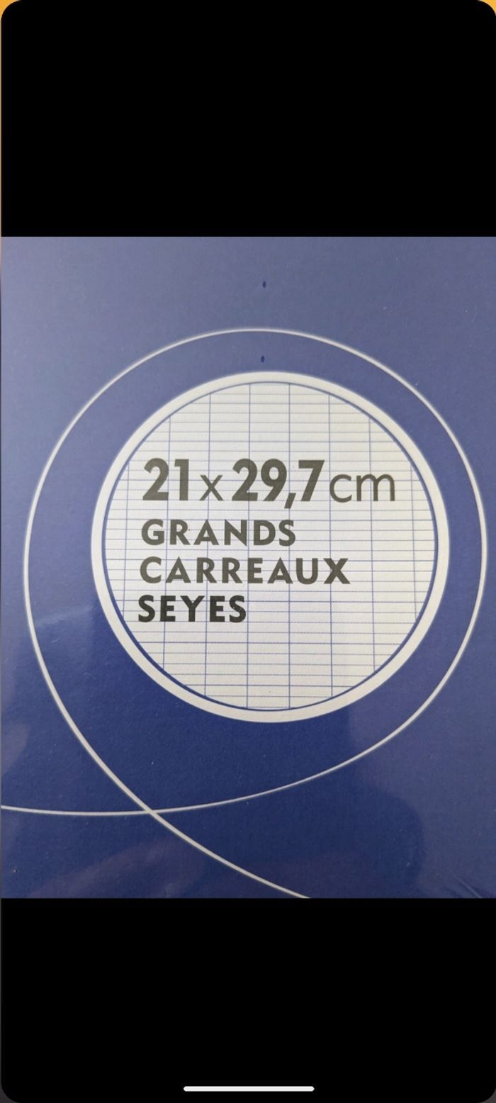 Lot de 400 copies doubles perforées grands carreaux. Taille : 21 x29,7 cm - photo numéro 3